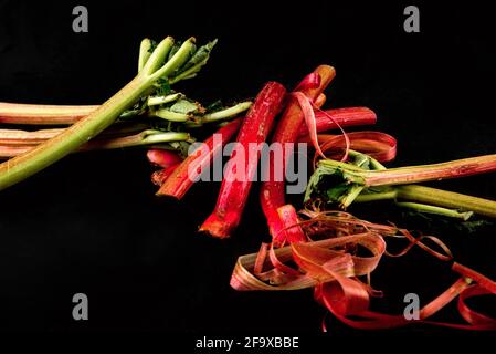 Tige de rhubarbe sur fond noir, gros plan. Banque D'Images