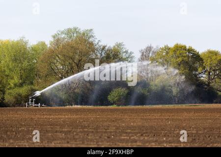 Irrigation d'un champ agricole pendant la pandémie de corona. Les agriculteurs travaillent dur pour maintenir les lignes d'approvisionnement alimentaire mondiales ouvertes Banque D'Images