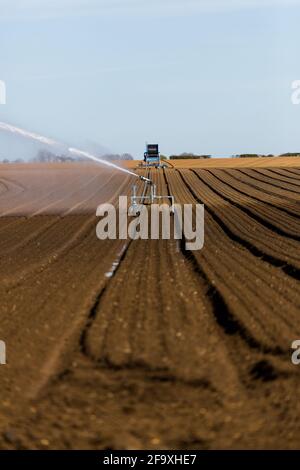 Irrigation d'un champ agricole pendant la pandémie de corona. Les agriculteurs travaillent dur pour maintenir les lignes d'approvisionnement alimentaire mondiales ouvertes Banque D'Images