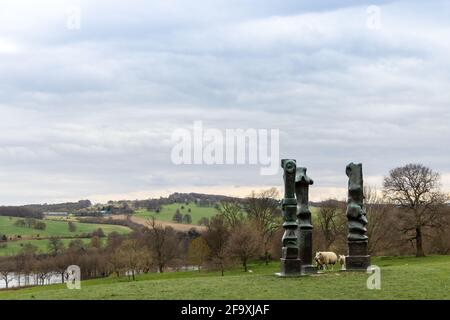 Brebis broutant à côté des motifs droits n° 1 (Glenkiln Cross): N° 2; sculpture en bronze n° 7 de Henry Moore dans le Yorkshire Sculpture Park près de Wakefield, Royaume-Uni. Banque D'Images