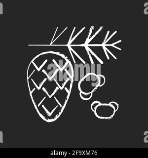 Cèdre et pin pollen craie icône blanche sur noir arrière-plan Illustration de Vecteur