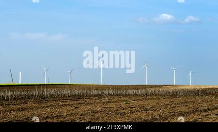 L'éolienne est un dispositif qui convertit l'énergie cinétique du vent en électricité, dans les champs à Alibunar, le Banat, en Serbie. Banque D'Images