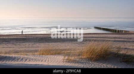 la figure solitaire se balade le long de la plage de la mer du nord en néerlandais Province de Zélande sous ciel bleu au printemps Banque D'Images