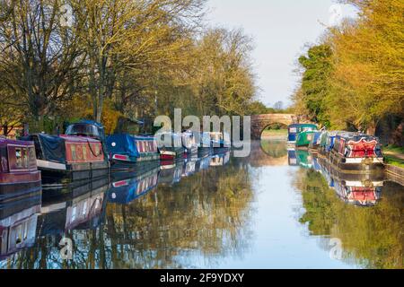 Des barques à la truche amarrées le long du canal de Kennet et Avon le matin du printemps, Kintbury, West Berkshire, Angleterre, Royaume-Uni, Europe Banque D'Images