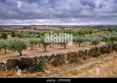 Jour de pluie près d'Algoso. TRAS os Montes, Portugal Banque D'Images