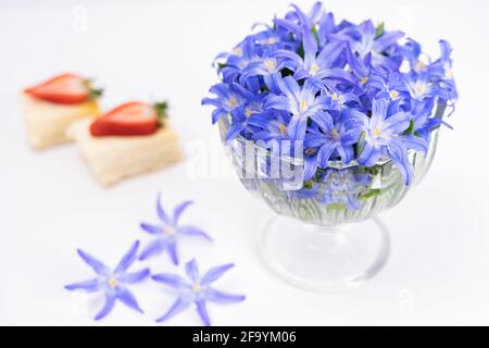 morceaux de gâteau au fromage, fleurs de neige sur la table. Encore la vie sur la table Banque D'Images