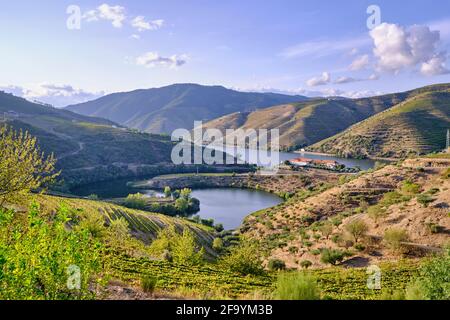 Rivière Douro et Quinta do Tedo avec ses vignobles en terrasse le long de la rivière Tedo, un affluent de la rivière Douro. Alto Douro, PATRIMOINE mondial de l'UNESCO S Banque D'Images