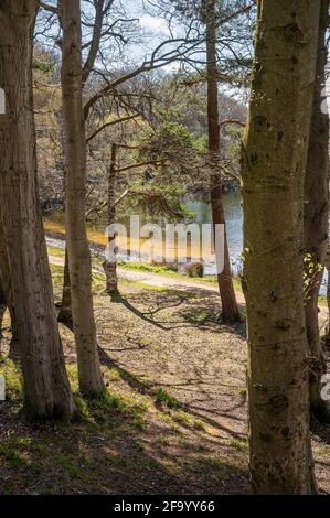 Vue sur une promenade autour du parc national de Talkin Tarn Banque D'Images