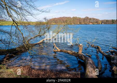 Vue sur une promenade autour du parc national de Talkin Tarn Banque D'Images