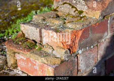 Royaume-Uni, Angleterre, Londres, Southall, ancien mur de briques en ruines à l'entrée du quai d'Adélaïde sur le canal de Grand Union (détail) Banque D'Images