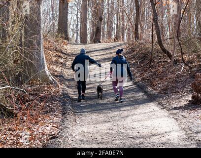 Deux femmes vont faire une promenade avec leur chien sur une colline escarpée dans les bois d'un parc national, le matin d'une journée de marche fraîche à New York. Banque D'Images