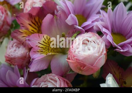 Magnifique bouquet de Saint-Valentin, bouquet romantique de roses fraîches et alstroemeria gros plan. Fond floral. Bouquet de fleurs d'Alstroemeria complet Banque D'Images