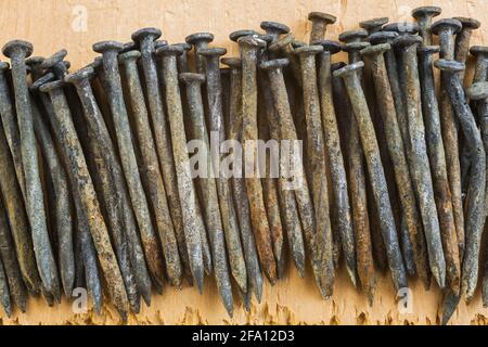 Rangée de sale et rouillé utilisé clous en acier galvanisé sur fond de bois, dans Studio Banque D'Images