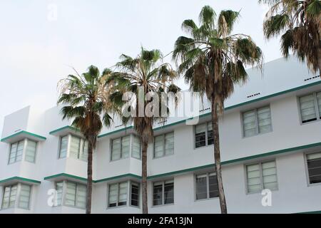 Hôtel blanc typique avec de grands palmiers à Miami Beach en Floride. Banque D'Images