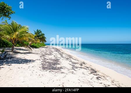 Camp Bay Beach, Playa Barbon à Roatan Banque D'Images