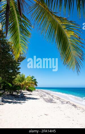 Camp Bay Beach, Playa Barbon à Roatan Banque D'Images