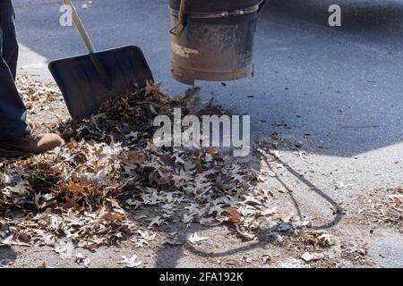 Un homme utilisant un aspirateur travaille dans une route d'automne, les feuilles sont tombées Banque D'Images