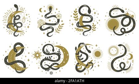 Serpents mystiques. Boho floral et astrologie éléments minimalistes avec jeu d'illustrations vectorielles de serpents. Symboles magiques de serpent spirituel Illustration de Vecteur