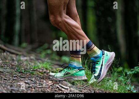 Sentier de course pour garçon dans une zone montagneuse de et pleine d'arbres. Banque D'Images
