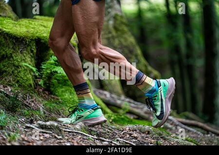 Sentier de course pour garçon dans une zone montagneuse de et pleine d'arbres. Banque D'Images