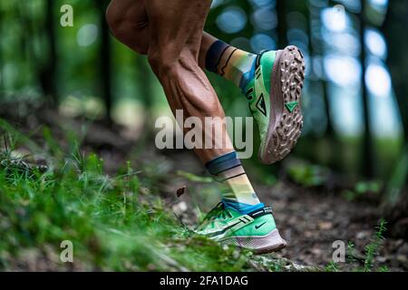 Sentier de course pour garçon dans une zone montagneuse de et pleine d'arbres. Banque D'Images
