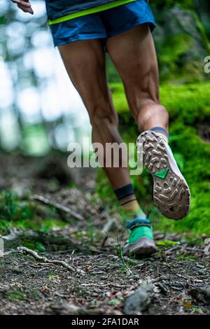 Sentier de course pour garçon dans une zone montagneuse de et pleine d'arbres. Banque D'Images