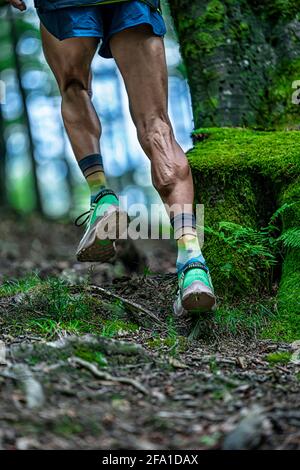 Sentier de course pour garçon dans une zone montagneuse de et pleine d'arbres. Banque D'Images