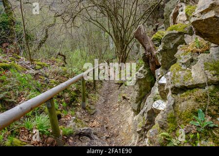 sentier sur la montagne umlaufberg à proximité de la rivière thaya dedans le parc national autrichien inférieur thayatal Banque D'Images