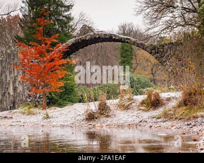 Feuilles colorées sur arbre à feuilles caduques au rond Rakotzbrucke également connu sous le nom de pont Devils à Azalea et Parc Rhododendron Kromlau, Allemagne. Banque D'Images