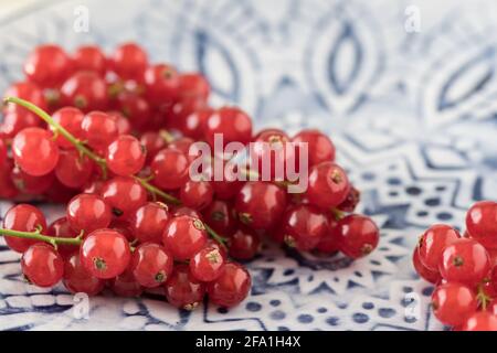 Gros plan de raisins de Corinthe rouges sur un décor bleu et blanc assiette en porcelaine Banque D'Images