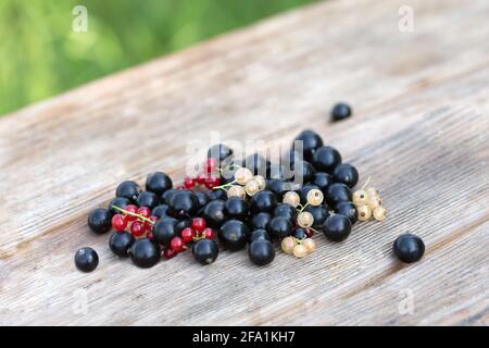 Une poignée dispersée de baies de cassis et de cassis sur une table en bois clair à l'extérieur sur un fond vert naturel flou. Cueillette de baies dans le jardin. Banque D'Images