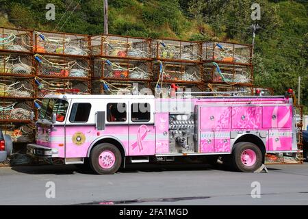 Service d'incendie rose dans le port de Kodiak, Alaska, États-Unis Banque D'Images