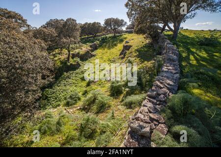 Site archéologique de Tamusia, Botija, Caceres, Estrémadure. Douve. Colline hispano-celtique de l'ouest du peuple Vettonien Banque D'Images