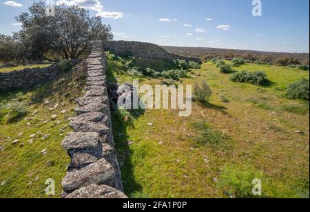 Site archéologique de Tamusia, Botija, Caceres, Estrémadure. Mur principal. Colline hispano-celtique de l'ouest du peuple Vettonien Banque D'Images