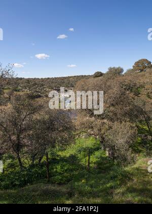 Site archéologique de Tamusia, Botija, Caceres, Estrémadure. Rivière Tanuja. Colline hispano-celtique de l'ouest du peuple Vettonien Banque D'Images