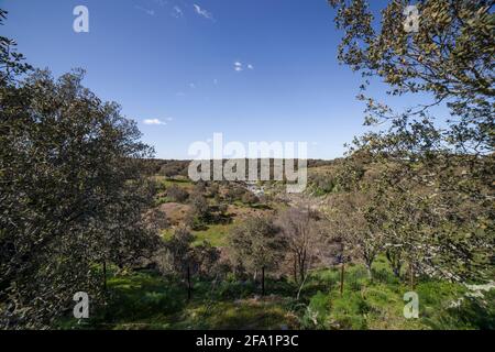 Site archéologique de Tamusia, Botija, Caceres, Estrémadure. Rivière Tanuja. Colline hispano-celtique de l'ouest du peuple Vettonien Banque D'Images