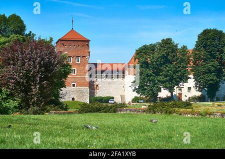 Le château de Wawel est une résidence de château située dans le centre de Cracovie, en Pologne Banque D'Images