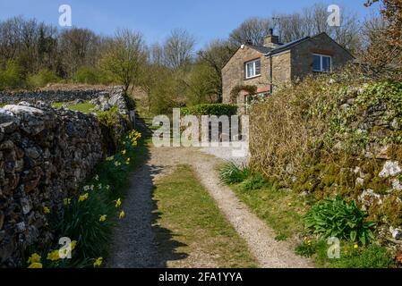 Chemin de crag dans Hutton Roof Cumbria Banque D'Images