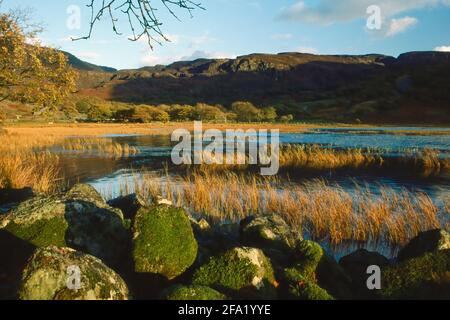 MCG Bychan dans le Rhinogs pays de Galles Banque D'Images