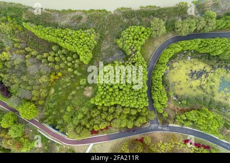 21 avril 2021, Huai'an, Huai'an, Chine : le 21 avril 2021, les arbres du parc national des zones humides de la rivière Guhuai, dans la ville de Huai'an, province de Jiangsu, ont des arbres verts verdoyants et des plantes aquatiques fertiles, devenant un bar à oxygène naturel. Le 21 avril 2021 est le 52e ''jour de la Terre''. Cette année, le thème de la publicité est ''chérir la Terre et la coexistence harmonieuse entre l'homme et la nature''. La zone humide est également appelée ''le rein de la terre''. Crédit : ZUMA Press, Inc./Alay Live News Banque D'Images