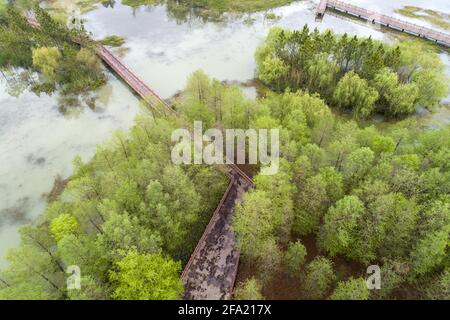 21 avril 2021, Huai'an, Huai'an, Chine : le 21 avril 2021, les arbres du parc national des zones humides de la rivière Guhuai, dans la ville de Huai'an, province de Jiangsu, ont des arbres verts verdoyants et des plantes aquatiques fertiles, devenant un bar à oxygène naturel. Le 21 avril 2021 est le 52e ''jour de la Terre''. Cette année, le thème de la publicité est ''chérir la Terre et la coexistence harmonieuse entre l'homme et la nature''. La zone humide est également appelée ''le rein de la terre''. Crédit : ZUMA Press, Inc./Alay Live News Banque D'Images