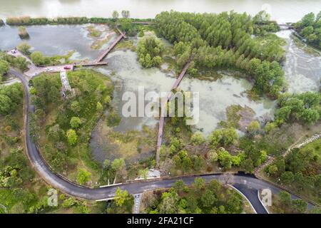 21 avril 2021, Huai'an, Huai'an, Chine : le 21 avril 2021, les arbres du parc national des zones humides de la rivière Guhuai, dans la ville de Huai'an, province de Jiangsu, ont des arbres verts verdoyants et des plantes aquatiques fertiles, devenant un bar à oxygène naturel. Le 21 avril 2021 est le 52e ''jour de la Terre''. Cette année, le thème de la publicité est ''chérir la Terre et la coexistence harmonieuse entre l'homme et la nature''. La zone humide est également appelée ''le rein de la terre''. Crédit : ZUMA Press, Inc./Alay Live News Banque D'Images