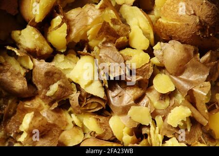 Pomme de terre (Solanum tuberosum), peaux de pommes de terre de la veste Banque D'Images