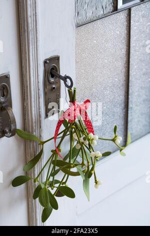 Mistletoe (album de Viscum, album de Viscum), petit bouquet de mistletoes, décoration à une porte d'armoire, Allemagne Banque D'Images