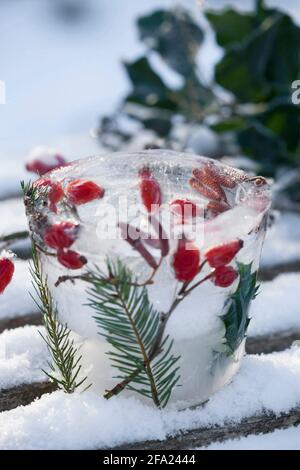 Lanterne à glace, bougie brûle à l'intérieur d'un bol à glace, qui est décoré de matériaux naturels congelés enfermés dans la glace , Allemagne Banque D'Images