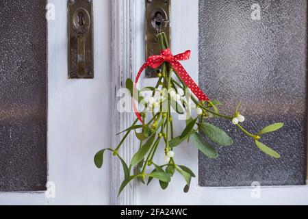 Mistletoe (album de Viscum, album de Viscum), petit bouquet de mistletoes, décoration à une porte d'armoire, Allemagne Banque D'Images