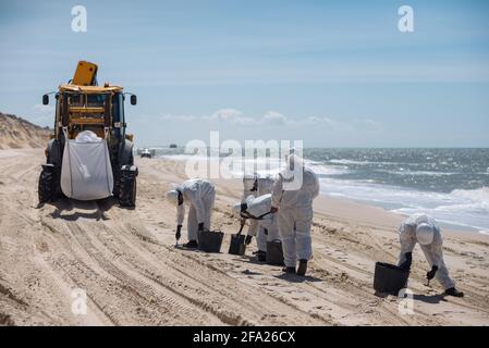 Concept: Nettoyage de la côte. Groupe de personnes méconnues avec un tracteur. Travailleurs avec équipement de protection individuelle (EPI), costume, casque et gants. Banque D'Images