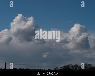 Billing Cumulonimbus nuages dans un ciel bleu au-dessus de Westbury, Wiltshire, Angleterre, Royaume-Uni. Banque D'Images