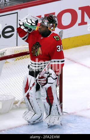 Chicago, États-Unis. 21 avril 2021. Le gardien de but Malcolm Subban (30) des Blackhawks de Chicago prend un verre après avoir donné un but aux prédateurs de Nashville dans la deuxième période au United Center à Chicago le mercredi 21 avril 2021. (Photo par Terrence Antonio James/Chicago Tribune/TNS/Sipa USA) crédit: SIPA USA/Alay Live News Banque D'Images