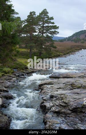 Rivière Dee traversant la Mar Estate, le Linn de Dee, Braemar, Écosse, Royaume-Uni Banque D'Images